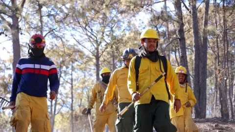 Reconoce Gobierno del Estado la labor de los Bomberos de Sinaloa
