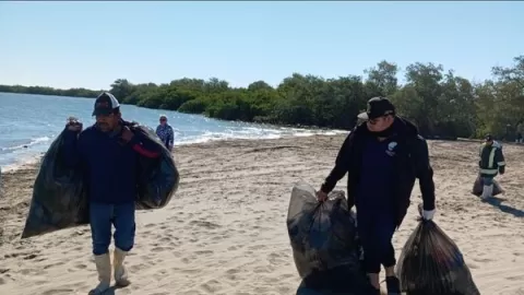 Más de 37 mil personas participan en jornadas verdes en Sinaloa
