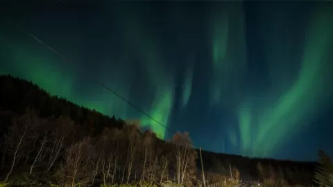 ¡Inédito en Mazatlán! Auroras Boreales Deslumbran el Cielo del Pacífico Mexicano tras Histórica Tormenta Solar