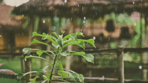 Lluvias en Sinaloa: Pronóstico Fallido Deja Solo 1.2 mm Acumulados el 5 de Diciembre; Temperaturas con Contrastes Marcados