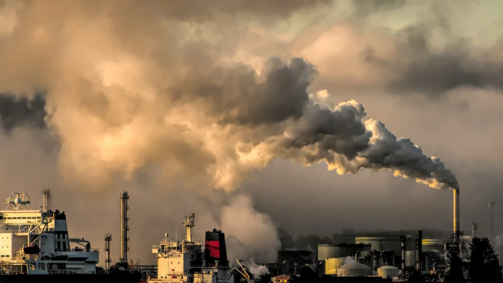 ONU Emite Alerta a México por Megaproyectos de Gas en Sonora y Sinaloa; Urge Cancelación ante Riesgo Ecológico y de Derechos Humanos en el "Acuario del Mundo"