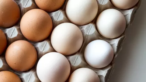 El huevo, producto versátil y esencial; Profeco presenta precios máximos y mínimos