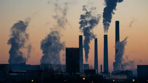 Día Mundial por la Reducción de CO₂: Un Llamado Urgente a la Transformación Global para Frenar la Crisis Climática
