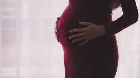 Metales Tóxicos: La Sombra de la Minería sobre Mujeres y Recién Nacidos en México