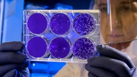 Revolución Biomédica: Nuevo Avance Viral Desbloquea Terapias Innovadoras contra el Cáncer y Vacunas de Próxima Generación