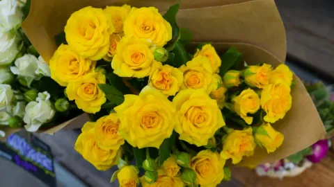 Flores Amarillas el 21 de Marzo: El Fenómeno que Une Telenovelas, TikTok y el Inicio de la Primavera en México