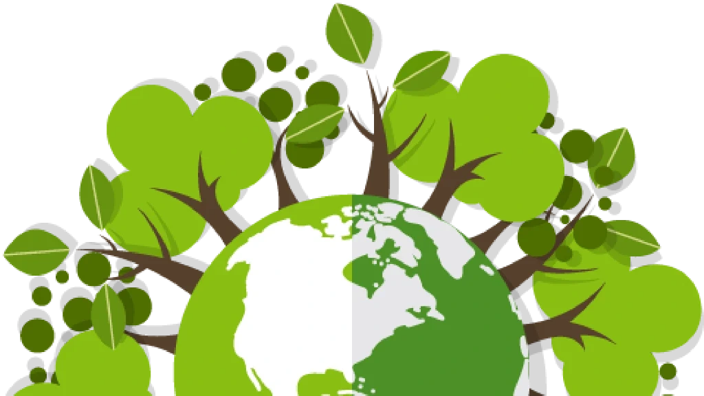Bosques, Ejes de la Economía Latinoamericana: ONU Resalta su Papel Crucial en el Día Internacional
