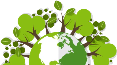 Bosques, Ejes de la Economía Latinoamericana: ONU Resalta su Papel Crucial en el Día Internacional