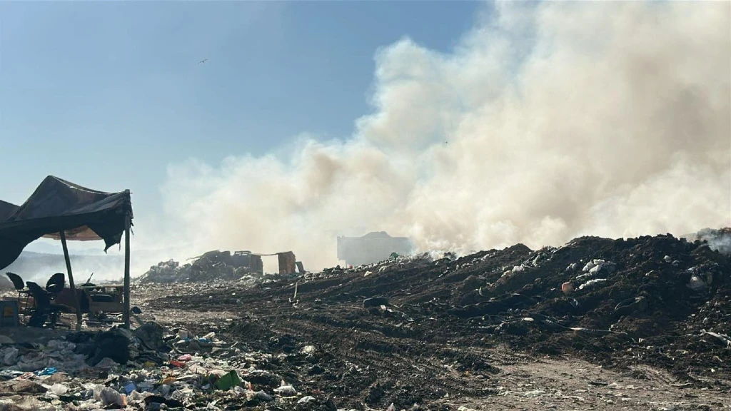 Emisiones de CO₂: El Impacto Futuro Será Diez Veces Mayor que los Daños Actuales, Revela Estudio