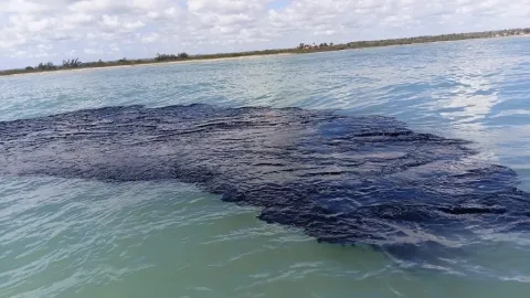 Derrame en Golfo de México: Identifican Tres Fuentes de Hidrocarburos; Cantarell Bajo Investigación