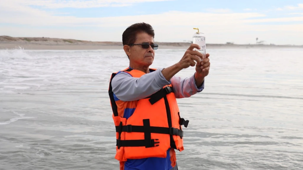 Sinaloa Confirma Playas Seguras: Mazatlán, El Maviri y Altata con Calidad Óptima del Agua