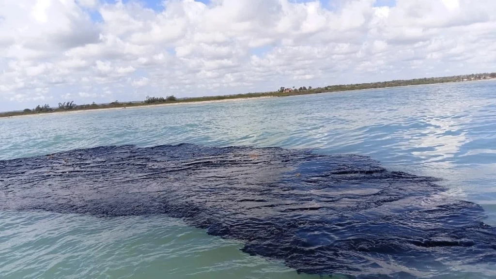 Sheinbaum Anuncia Estrategia de Tres Ejes para Atender la Contaminación en el Golfo de México