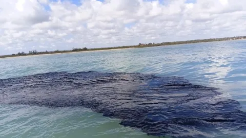 Sheinbaum Anuncia Estrategia de Tres Ejes para Atender la Contaminación en el Golfo de México