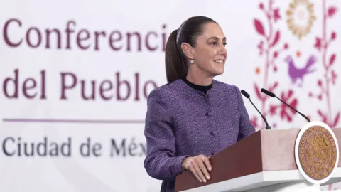 Presidenta presenta estrategia para fortalecer la explotación de reservas de gas natural para disminuir importación