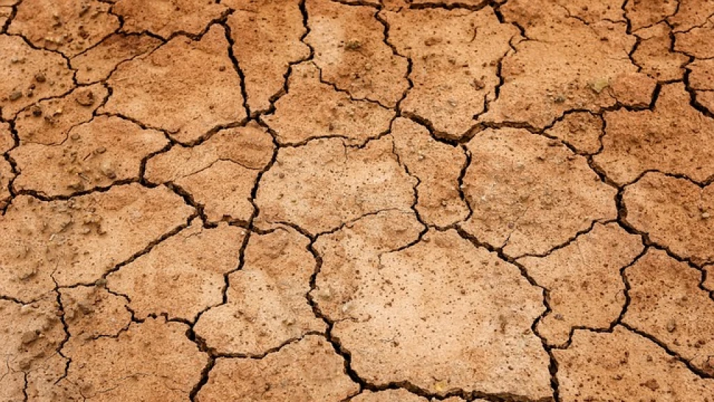 Alerta Global: ¿Se acerca un 'Súper El Niño' en 2026 con calor récord y fenómenos extremos?
