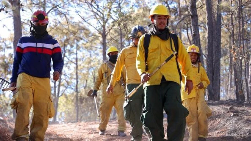 Sinaloa Intensifica Estrategia Anti-Incendios Forestales 2026: Abril y Mayo, Meses Clave para Proteger Ecosistemas y Comunidades
