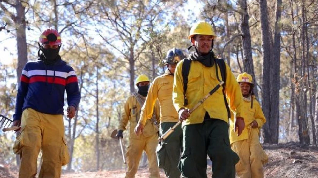 Alerta en Sinaloa: Seis Incendios Forestales en la Sierra en 2026; Autoridades Refuerzan Estrategia Ante Temporada Crítica