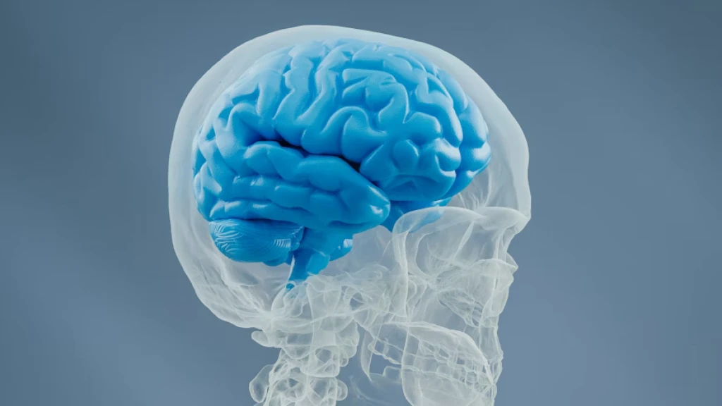 Revolución en Salud Mental: Ginebra Lidera la Psiquiatría de Precisión con Escáneres Cerebrales Pre-Prescripción