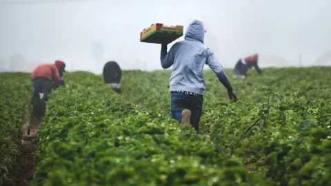 Segob reporta más de 203 mil mexicanos repatriados desde el regreso de Donald Trump a la Casa Blanca