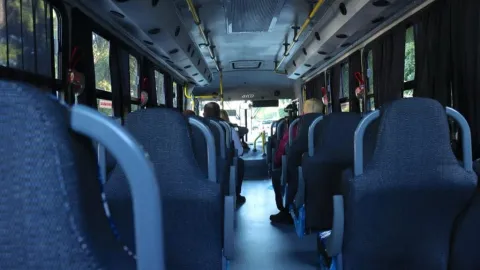 Día Mundial del Transporte Público: Un Hito Global por la Movilidad Sostenible y Conectada