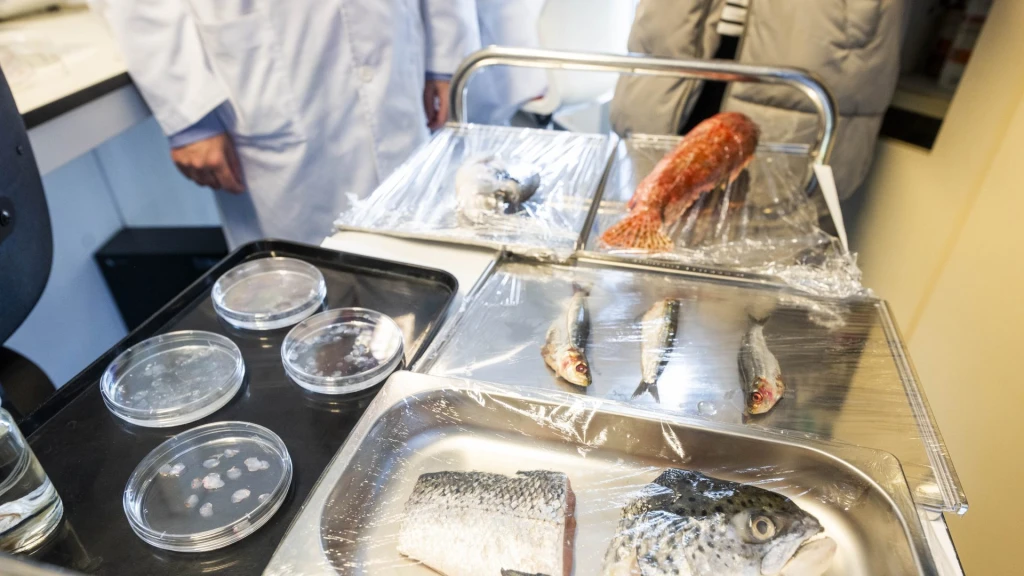 Salud Visual Revolucionaria: Córneas Bioartificiales de Escamas de Pescado