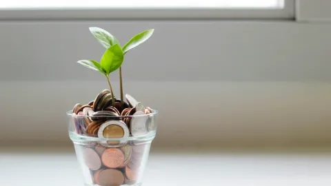 Ahorro Energético en el Hogar Mexicano: Estrategias para Reducir tu Recibo de Luz