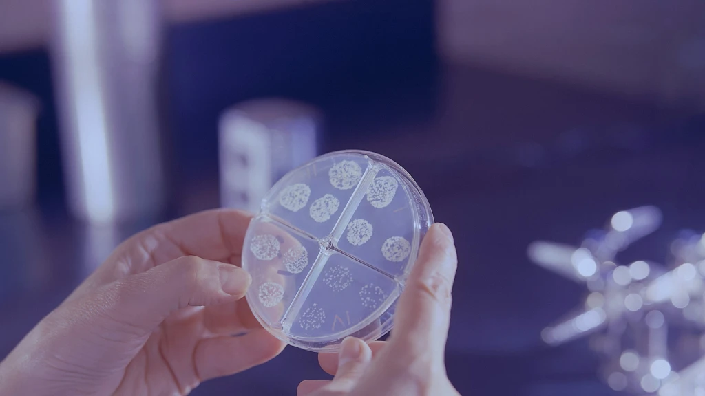 Revolución Médica: IA Diseña Virus Superpoderosos para Eliminar la Peligrosa Bacteria E. Coli y Combatir la Resistencia Antibiótica