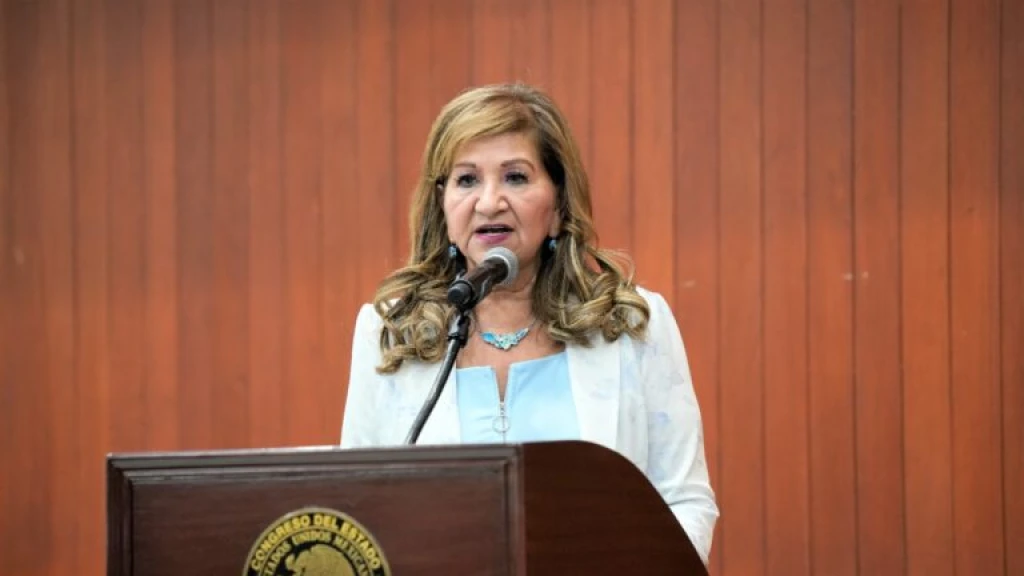 Todo recurso público ejercido debe garantizar resultados: Tere Guerra