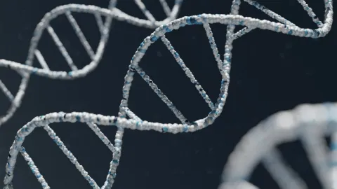 Día Internacional del ADN 2026: La Doble Hélice que Desbloqueó el Código de la Vida y Revolucionó la Genética