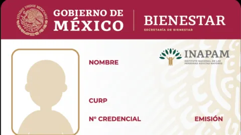 INAPAM: Guía Esencial para la Renovación de Credenciales y Acceso a Beneficios para Adultos Mayores