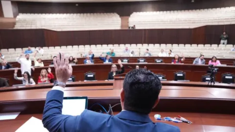 Congreso de Sinaloa aprueba reformas que garantizan atención a salud mental, incluido espectro autista