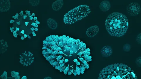 Alerta Global: Brote Mortal de Hantavirus en Crucero del Atlántico Sur Desata Respuesta Sanitaria Multinacional y Vigilancia Internacional