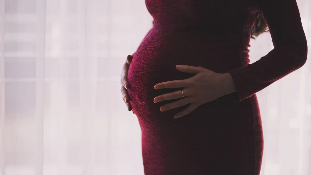 Más de 2 Millones de Madres Adolescentes en México Abandonan Proyectos de Vida por Maternidad Temprana