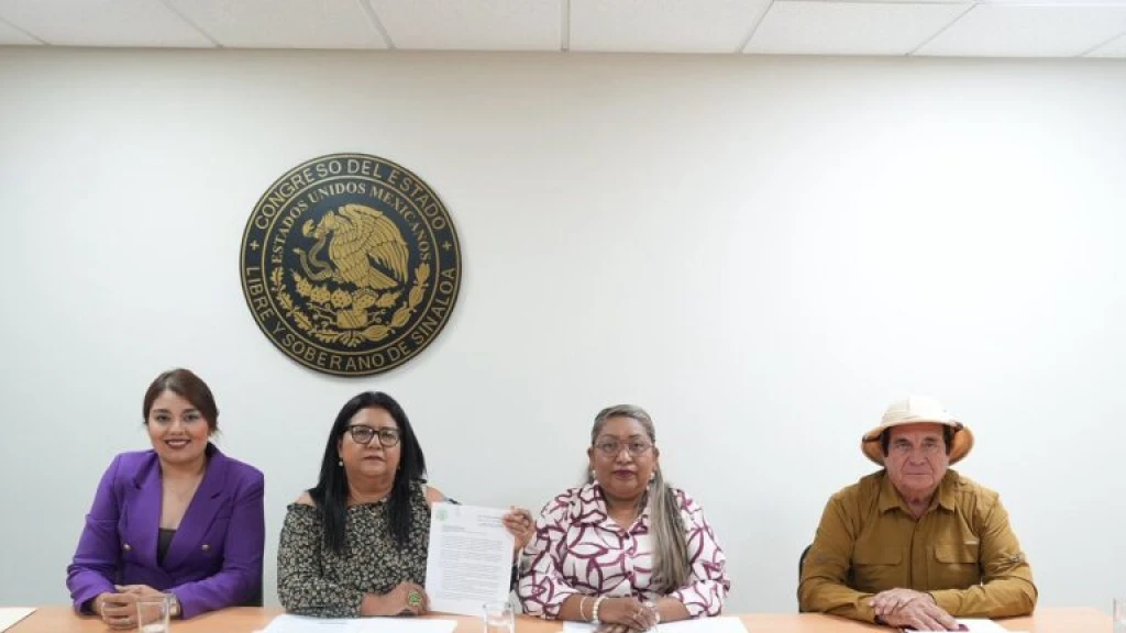 Comisión trabaja en una ruta para mejorar acceso a la justicia de personas indígenas