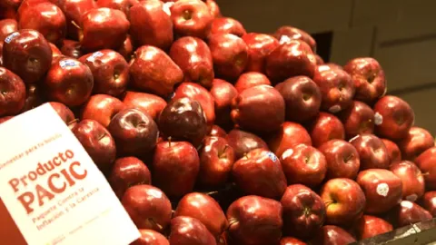 Manzana: Tu Aliada para la Salud y el Bolsillo. Profeco Revela Beneficios y Precios por Variedad en México