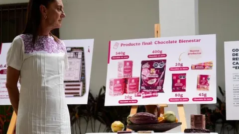 Sheinbaum Lanza 'Precio Justo' para Cacao: Inversión de 110 MDP y Planta de Chocolate Bienestar