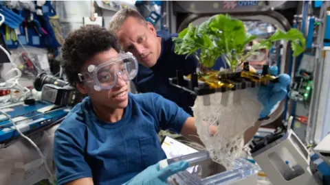 Estación Espacial: Expedición 74 Revela Avances Cruciales Contra el Cáncer y para la Regeneración de Cartílago