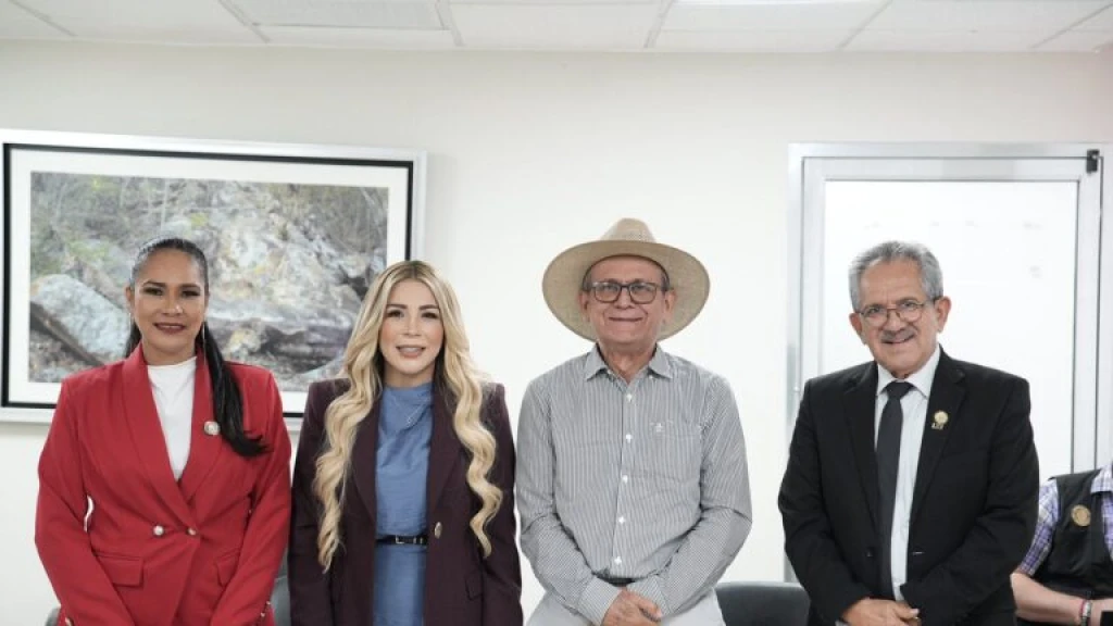Comisión de Turismo analiza iniciativa para fortalecer protección de menores de edad en servicios turísticos