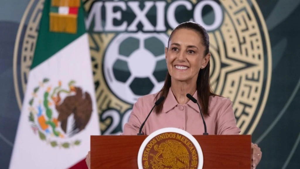 Los 520 boletos para el Mundial de Futbol que llegaron al Gobierno se regalaron a los ganadores del Mundial Social: Presidenta