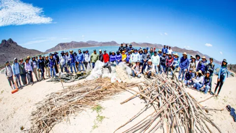 Sinaloa Impulsa Jornada Ambiental en la Isla de las Chivas: Refuerzo para la Protección de Ecosistemas Costeros