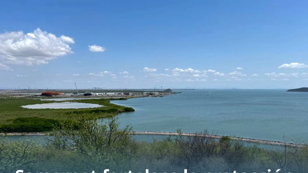 Semarnat fortalece protección ambiental de la Bahía de Ohuira mediante vigilancia permanente y medidas obligatorias en planta de amoníaco