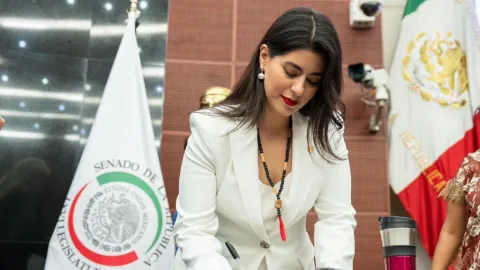 Ana Francis Chiquete Asume Escaño en el Senado Tras Renunciar a Semujeres
