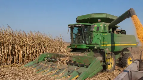 Informa Secretario de Agricultura de Sinaloa apertura de ventanillas para el apoyo a la comercialización de maíz blanco 2025-2026