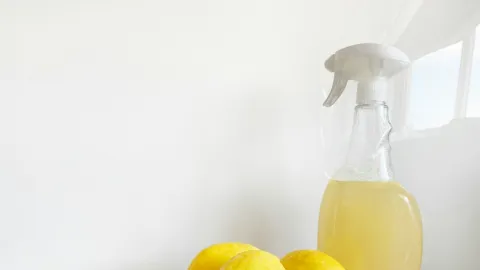 El Vinagre Blanco en la Entrada de tu Hogar: Un Aliado Eficaz contra Plagas y Energías Negativas, ¿Por Qué Recomiendan su Uso?