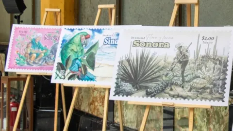 Fortalecen la divulgación del patrimonio natural con la serie permanente "De la A a la Z: Flora y Fauna de México"