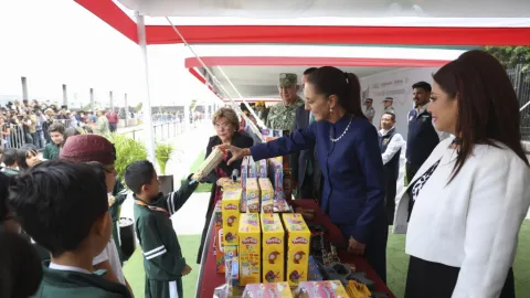 Presidenta hace llamado a sumarse a Sí al Desarme, Sí a la Paz