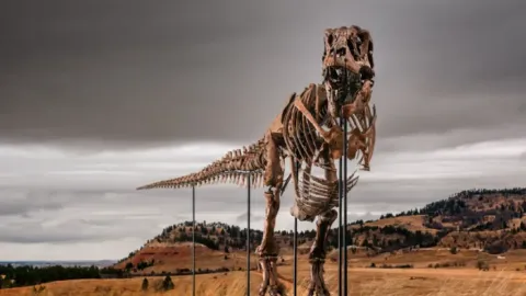 T. rex 'Gus' rompe récords en subasta por $50.1 millones y aviva el debate sobre el futuro de los fósiles
