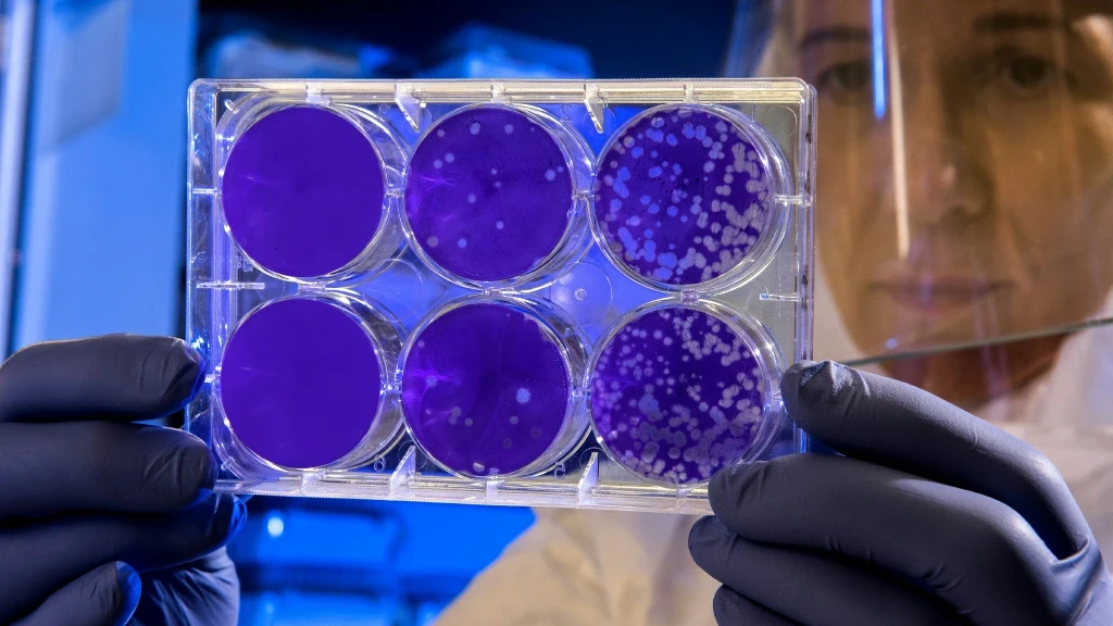 Alerta Sanitaria: Brote Récord de Ciclosporiasis en EE. UU. Provoca Aviso de Viaje en México