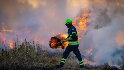 Incendio Devastador en España: Más de 16.000 Hectáreas Calcinadas y 20 Pueblos Evacuados en Castilla-La Mancha