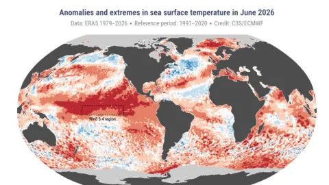 Alerta Roja Climática: La Tierra Entra en su Fase Más Crítica, Según Celeste Saulo y la OMM